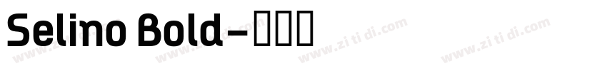Selino Bold字体转换